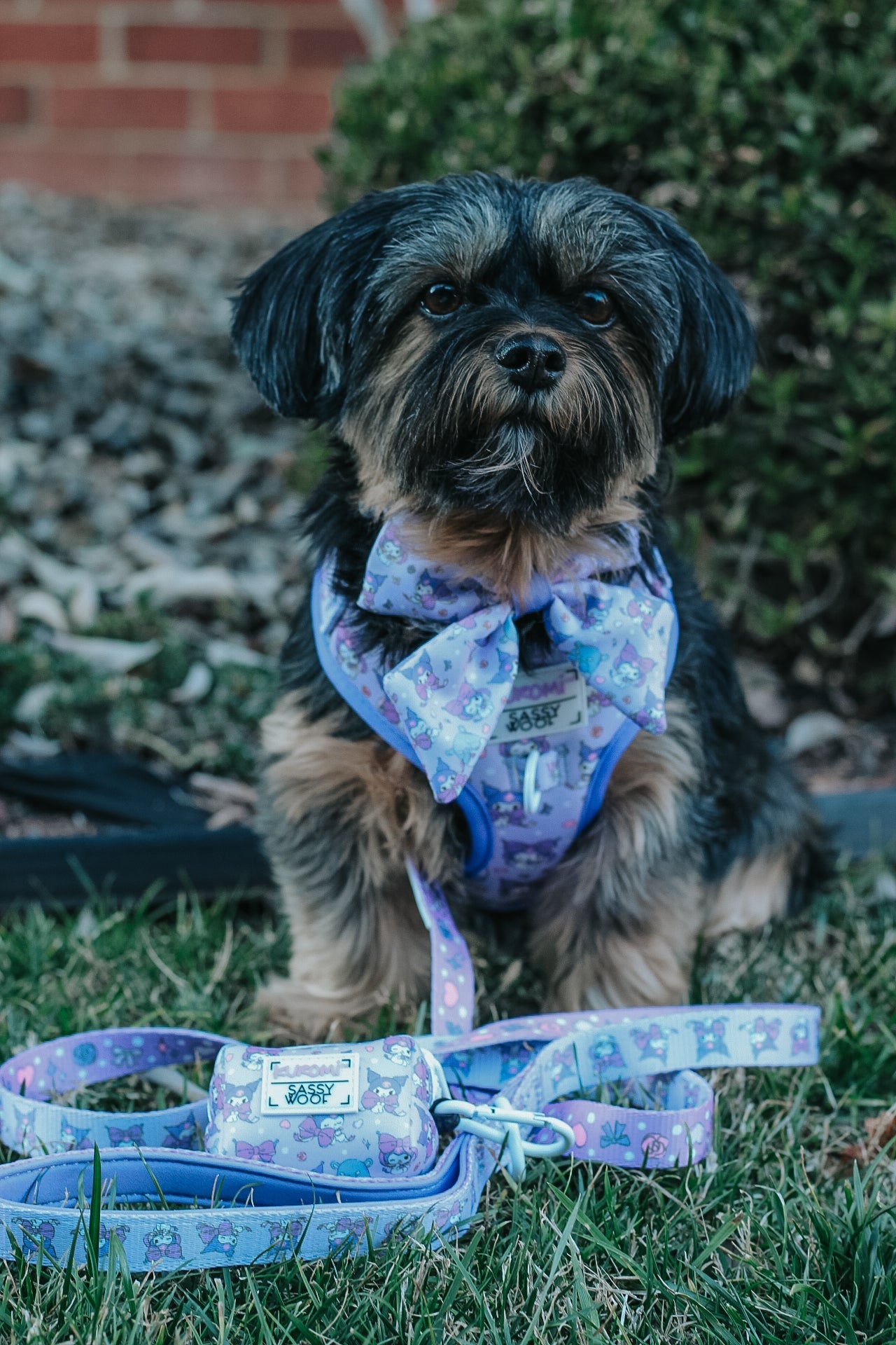 Dog Adjustable Harness - Kuromi™
