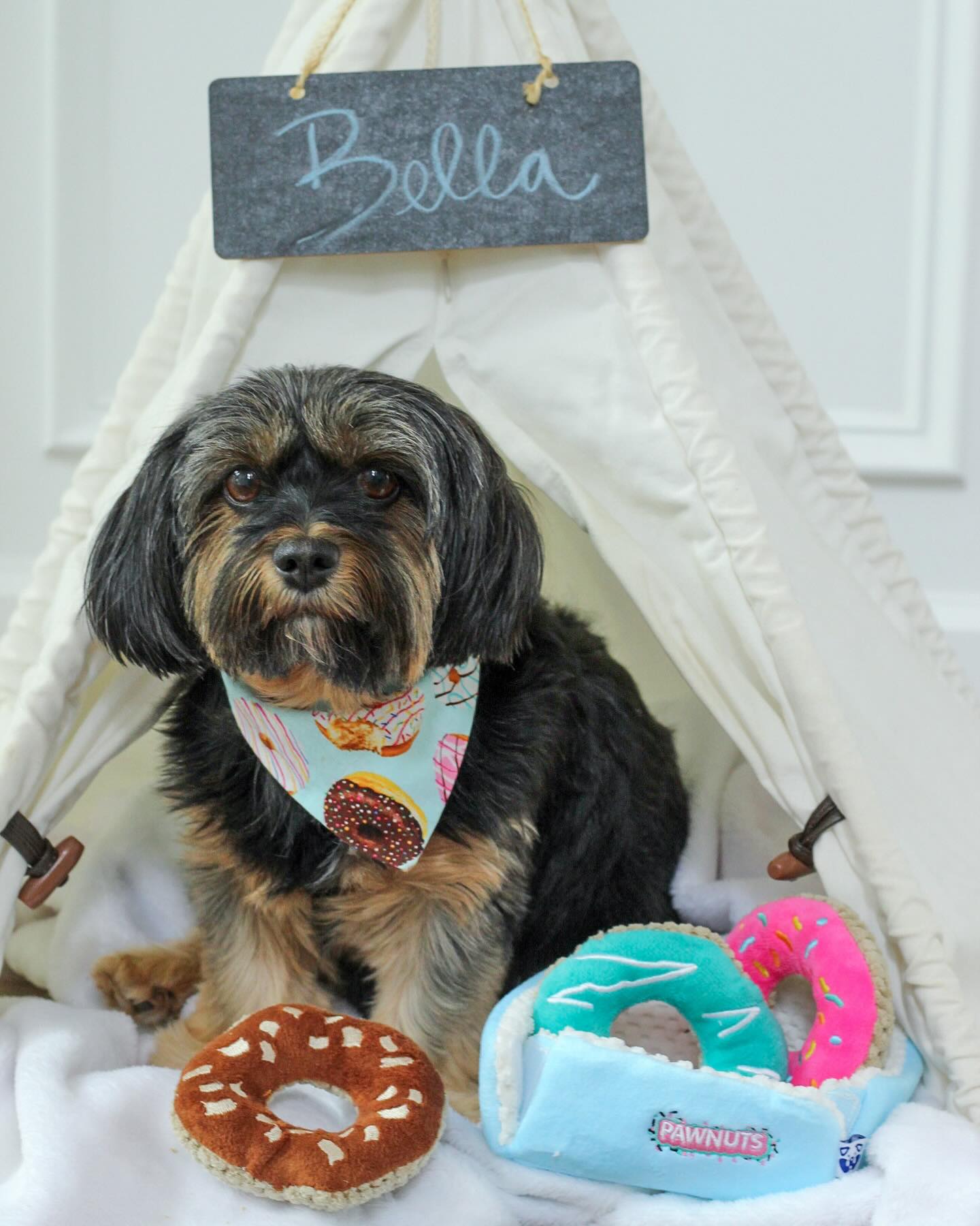 DONUTS INTERACTIVE DOG TOY