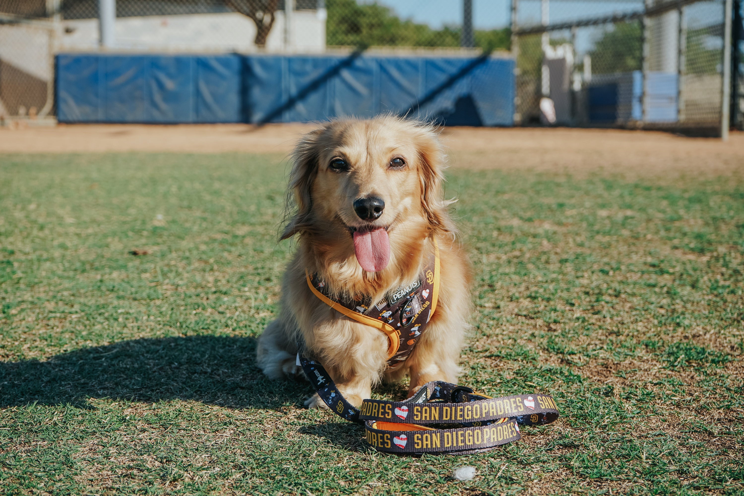 Dog Adjustable Harness - MLB™ x Peanuts™ San Diego Padres™