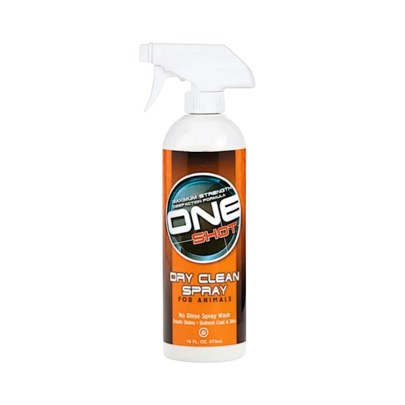 Best Shot One Shot Dry Clean Spray Shampoo 16oz