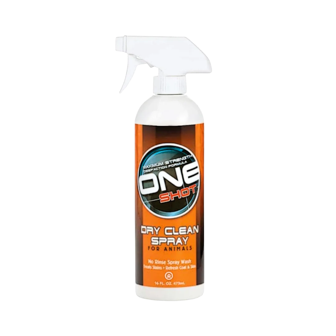 One Shot Dry Clean Spray Shampoo 16oz by Best Shot