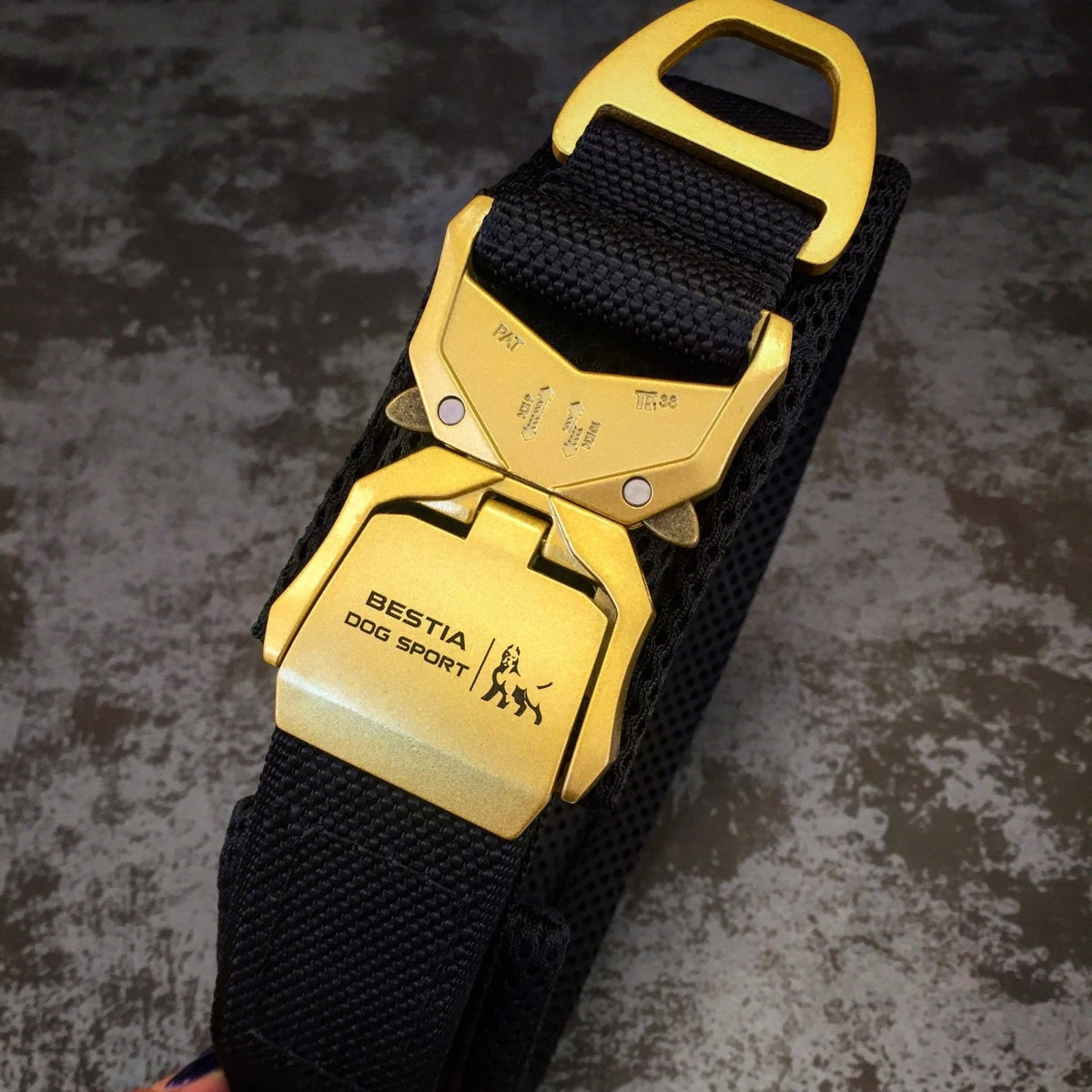 Bestia Dog Sport BESTIA DOG SPORT FAST RELEASE COLLAR BLACK & GOLD Black pet supplies
