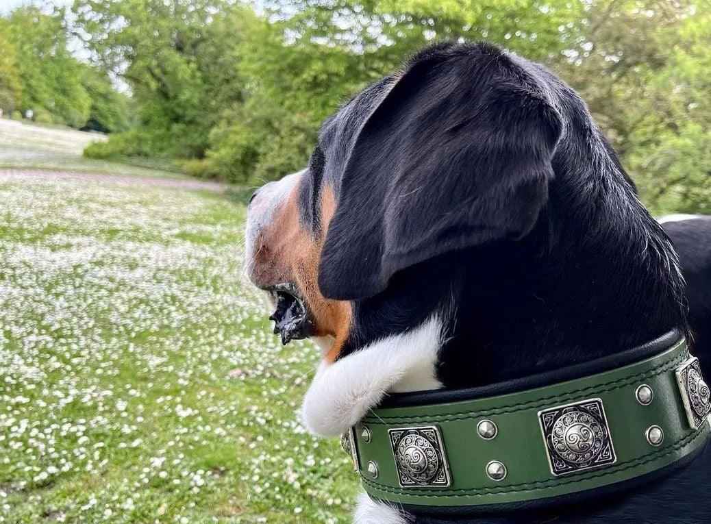 Bestia Eros 2.5-Inch Wide Green Leather Dog Collar