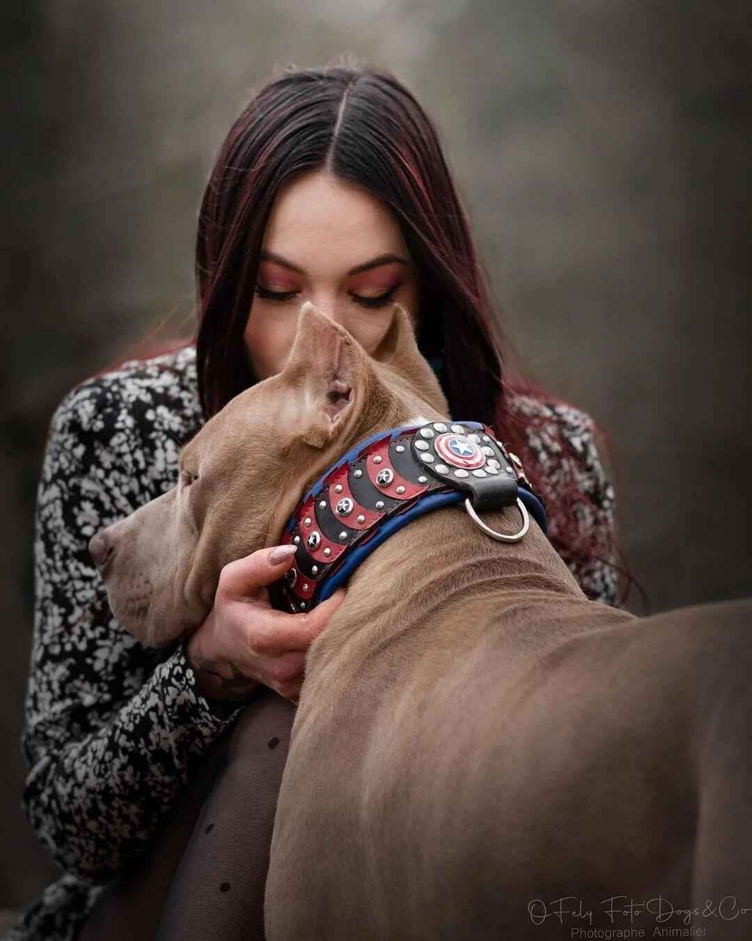 Bestia Captain America Leather Dog Collar