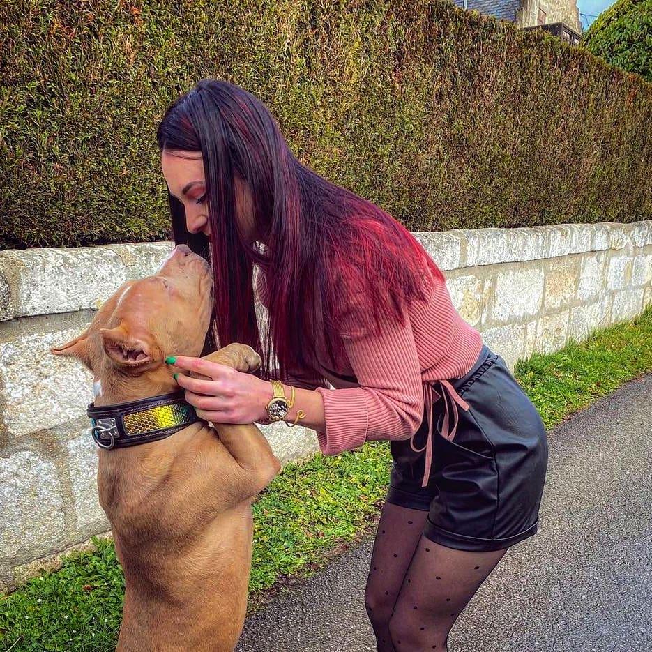 Bestia D'Albertis Leather Dog Collar