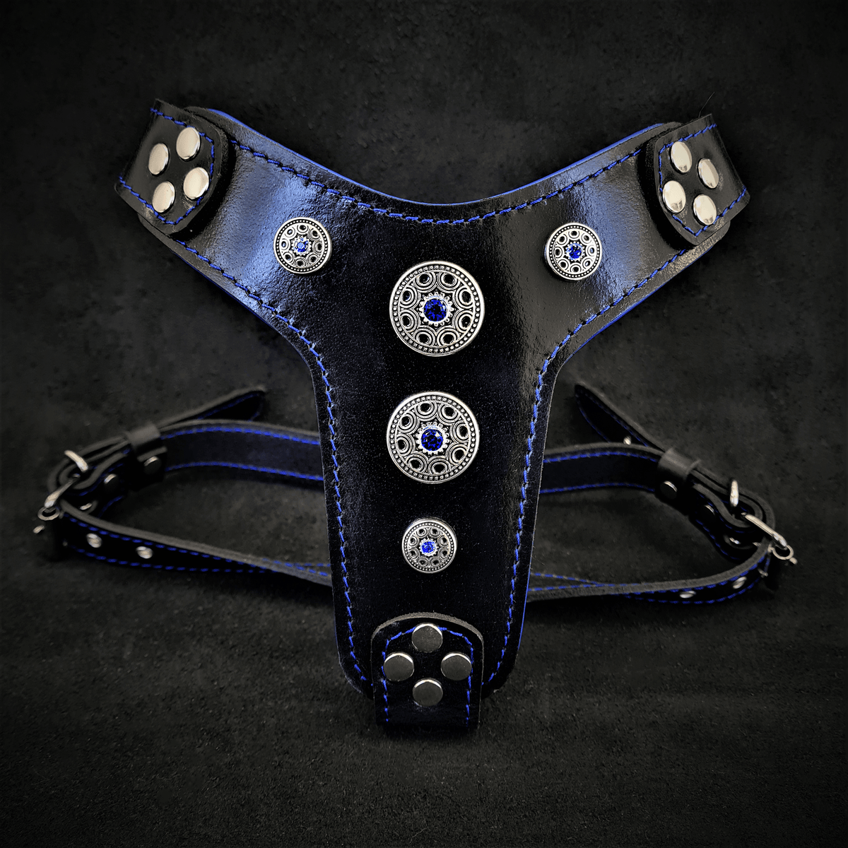 Bestia Bijou Black & Blue Leather Small to Medium Dog Harness