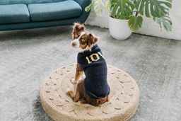 Chilly Dog Love Alpaca Wool Dog Sweater