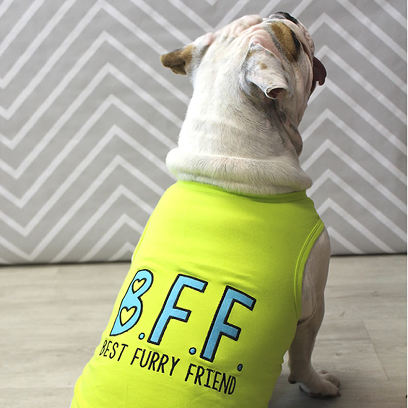 Parisian Pet BFF Comfortable Embroidered Dog Shirt  Trendy Small Dog Casual Shirt for Dogs & Cats-Valentines Day