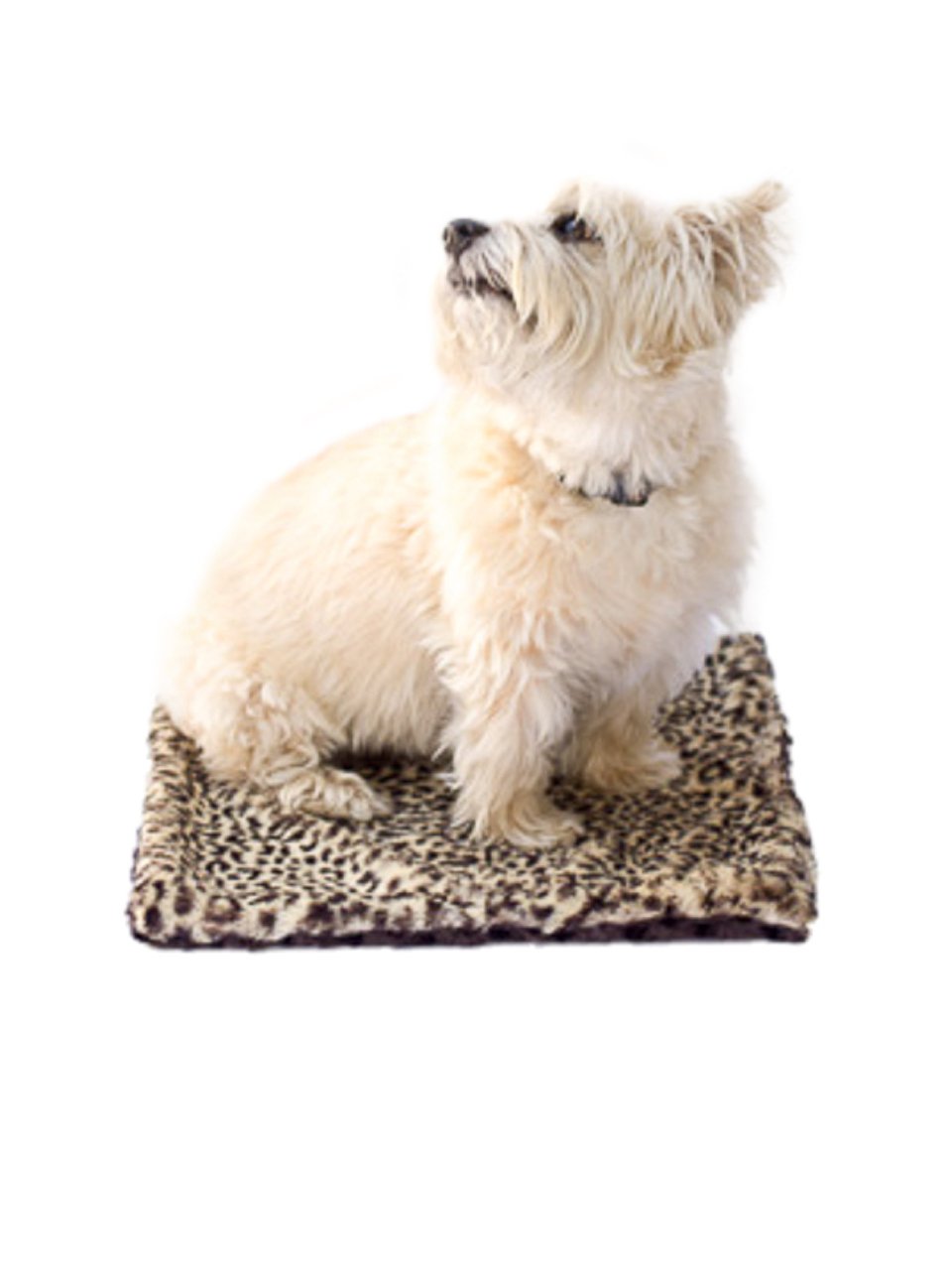 Carrier Square Blanket, Brown Cheetah