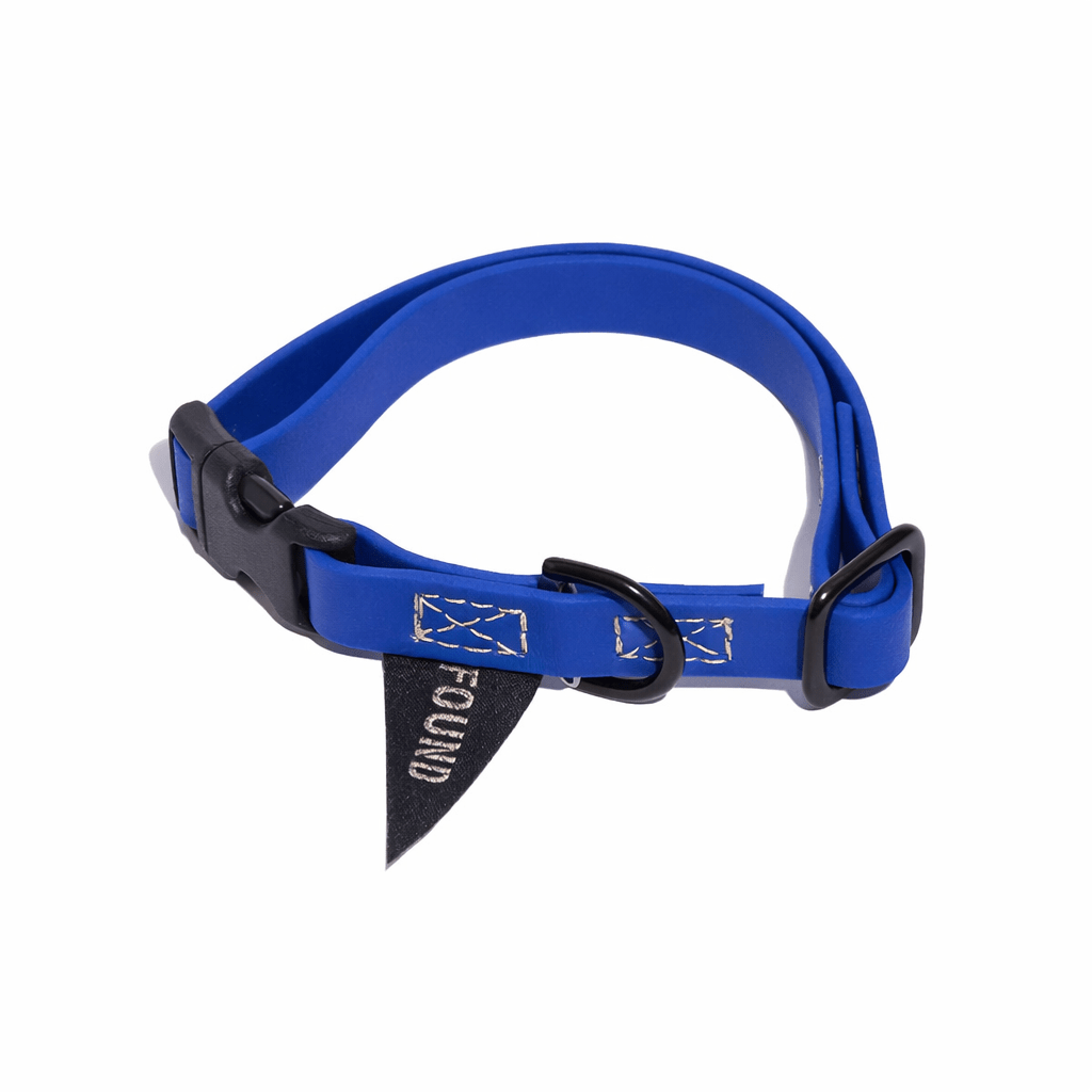 Biothane® Leather Alternative Dog & Cat Collar – Waterproof & Durable | Bright Blue | Matte Black Hardware