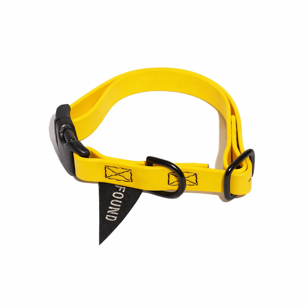 Biothane® Leather Alternative Dog & Cat Collar – Waterproof & Durable | Yellow | Matte Black Hardware