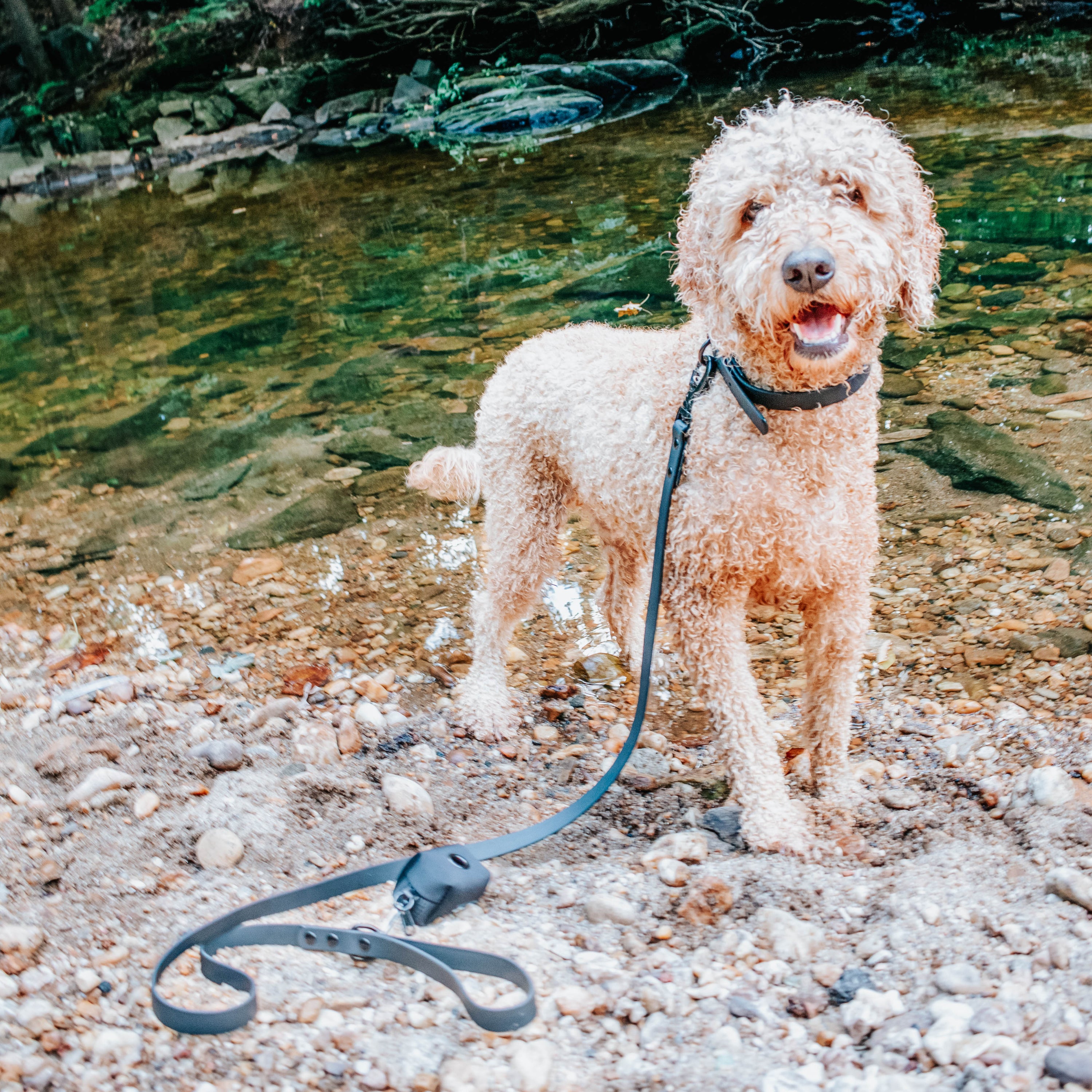 Dog Waterproof Collar - Black