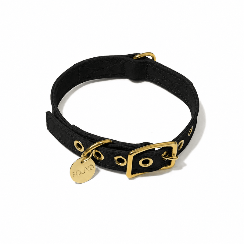 Found My Animal Black Waxed Cotton Canvas Dog and Cat Collar