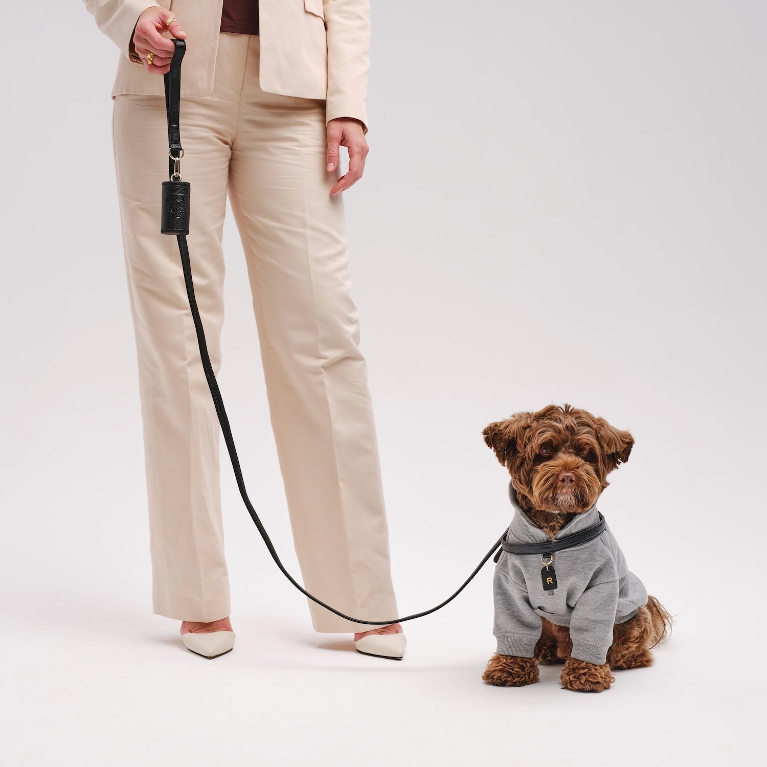 Dog Leash