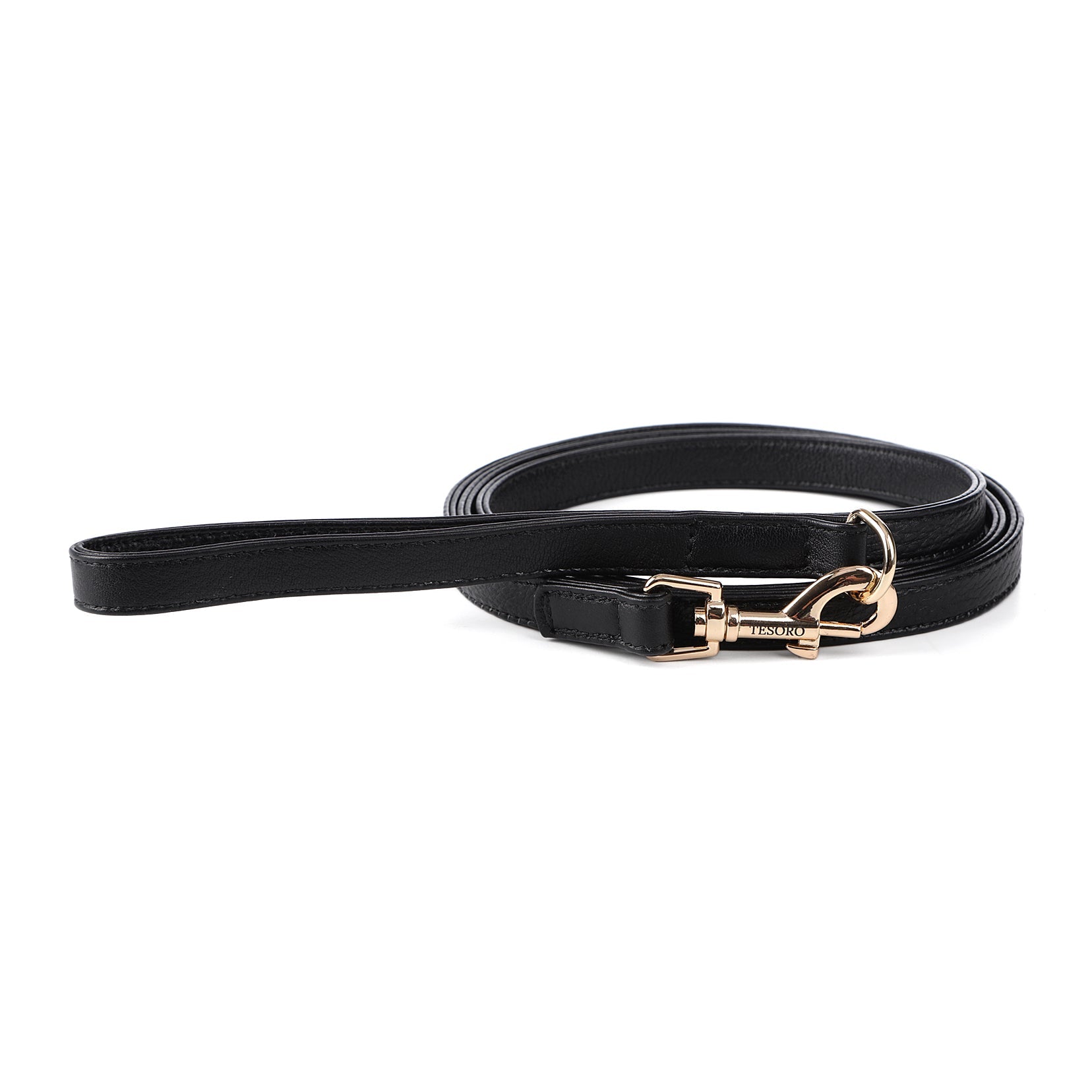Dog Leash