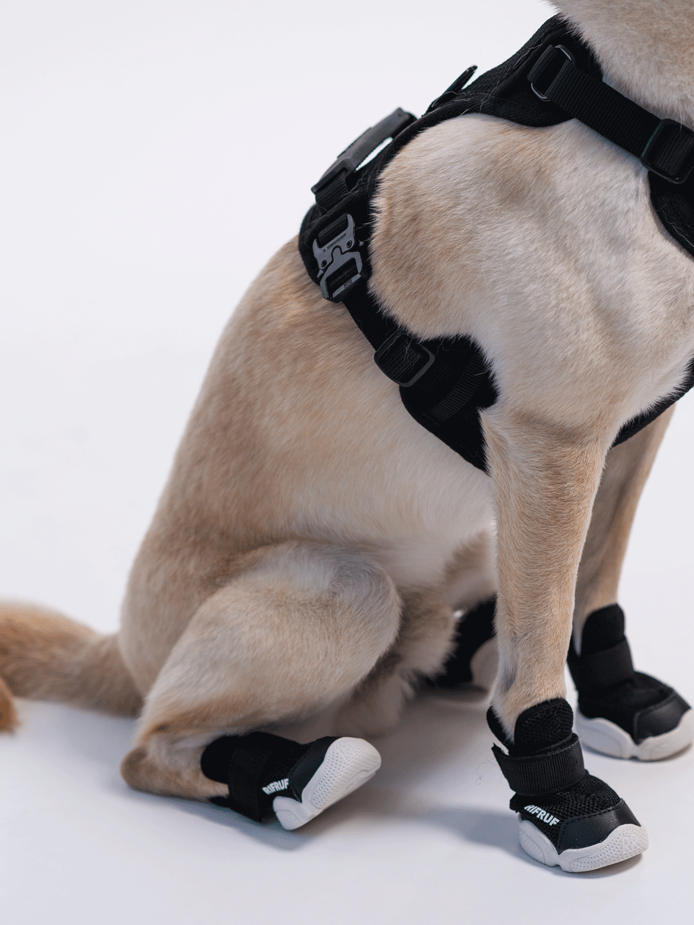 RIFRUF Caesar 1 Dog Sneakers Raspberry