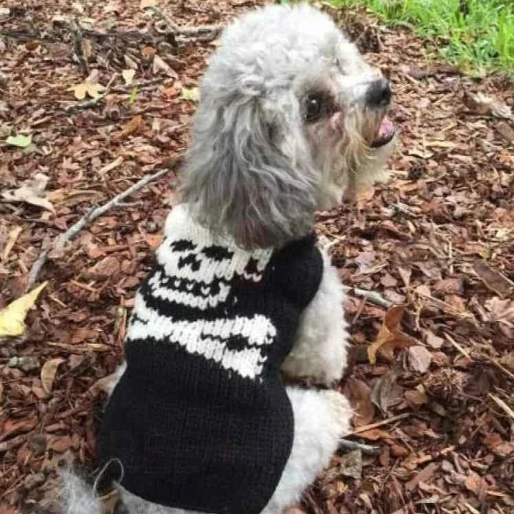 Chilly Dog Black Skull Knit Wool Dog Sweater