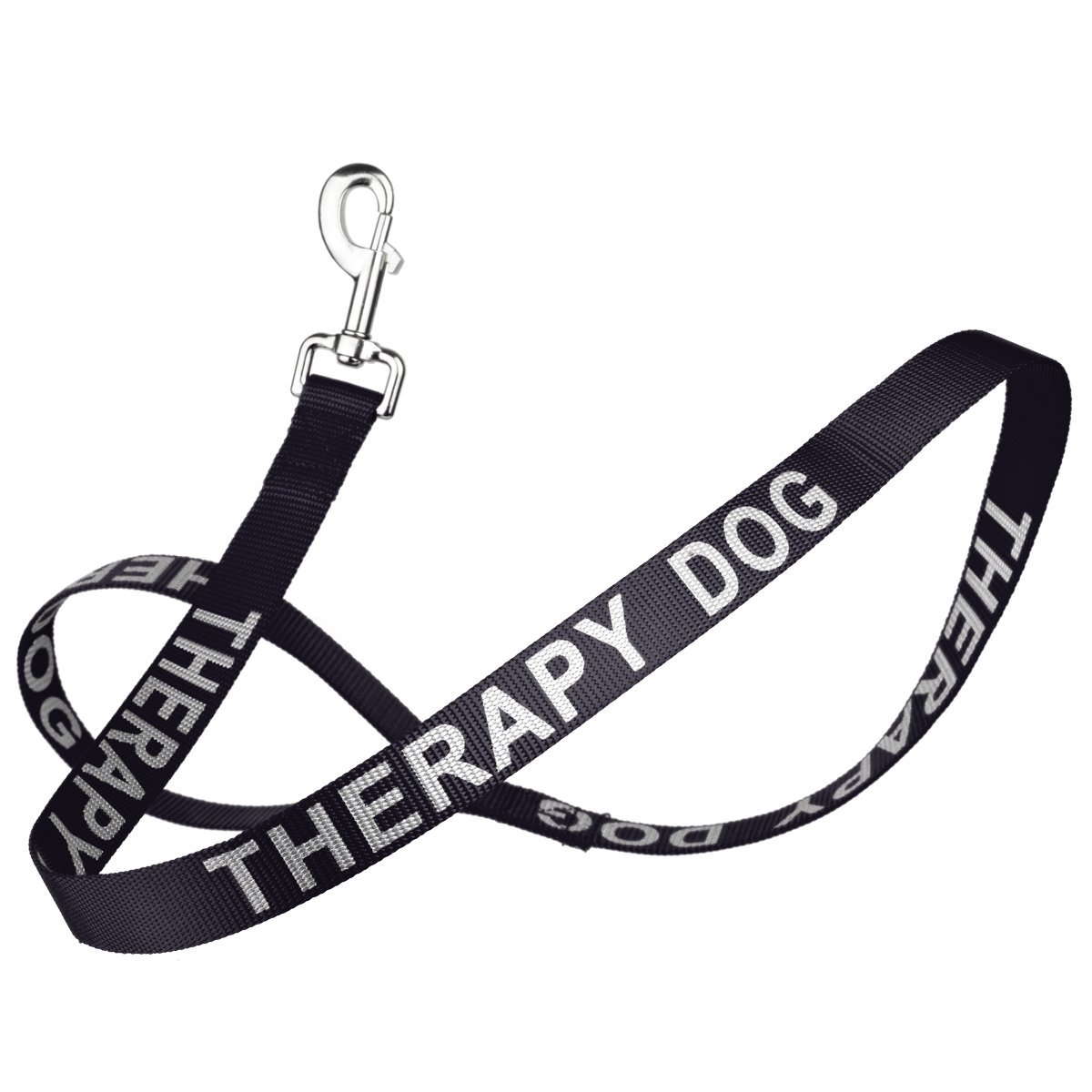 Dogline Reflective Nylon Dog Leash