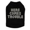Here Comes Trouble - Dog Tank