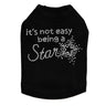It's Not Easy Being a Star - Dog Tank