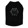Spider Web & Spider - Dog Tank