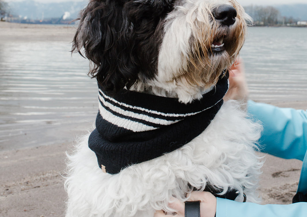 BESPOKE PAWS Cashmere Blend Scarf sets for Pets and their humans, Black and White - Wool Durable Adjustable Warm BANDANA