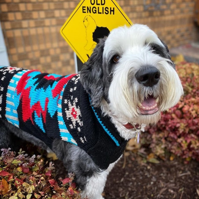 Chilly Dog Black Southwest Wool Dog Sweater