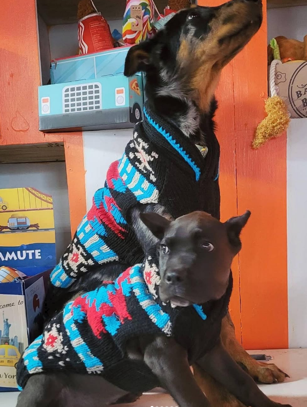Chilly Dog Black Southwest Wool Dog Sweater