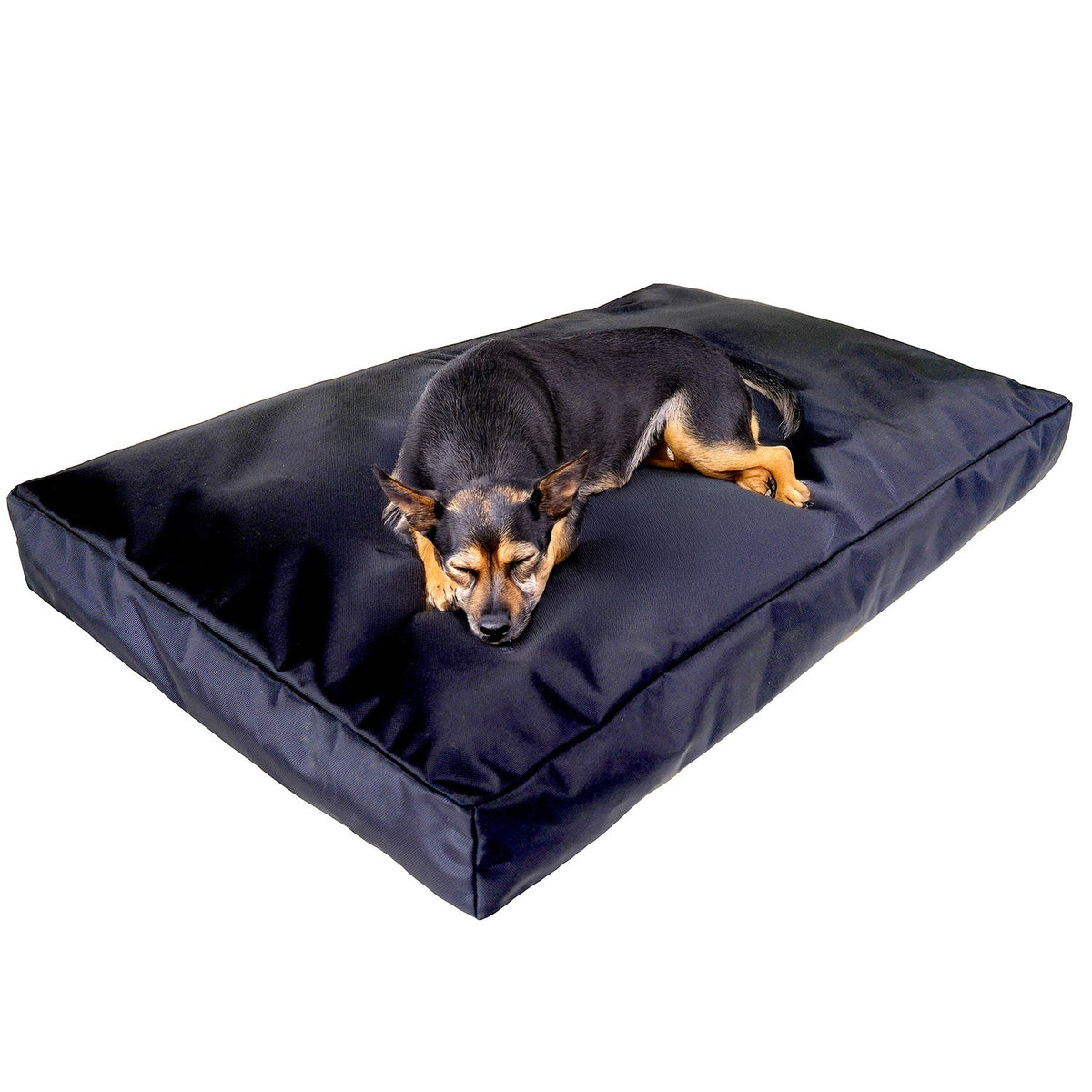Rectangle Armor Dog Bed