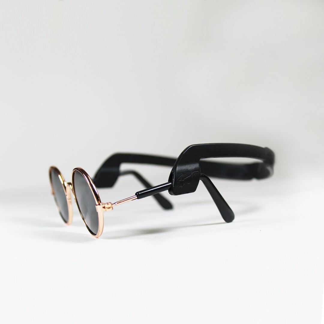 Hello Doggie Black Dog Sunglasses