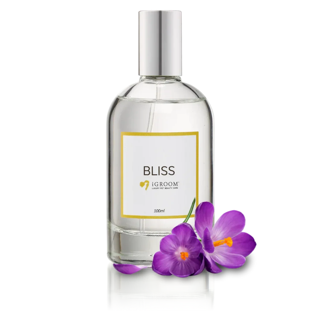 Bliss Perfume 100ml by iGroom