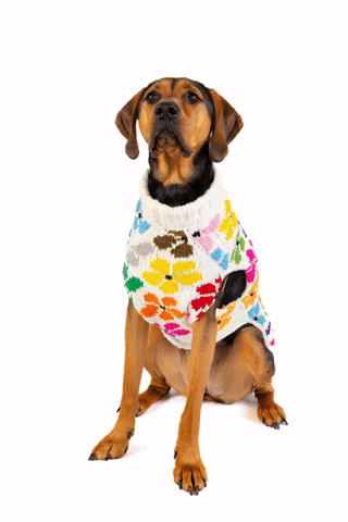 Chilly Dog Bloom Wool Dog Sweater