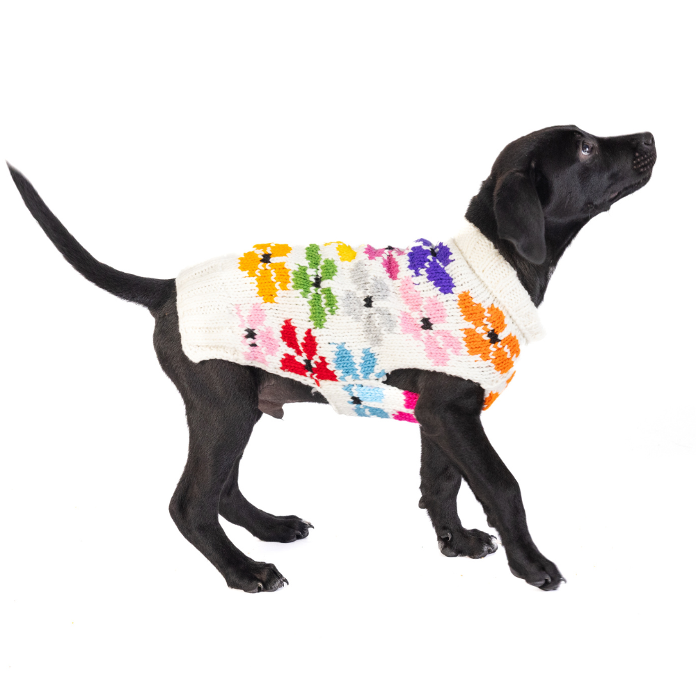 Chilly Dog Bloom Wool Dog Sweater