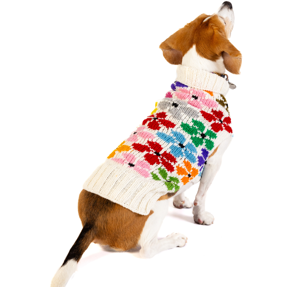 Chilly Dog Bloom Wool Dog Sweater