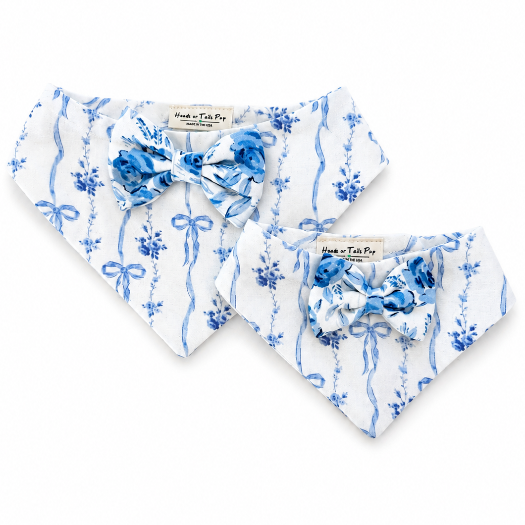 Heads or Tails Pup Something Blue LovePackPuppy Dog Bandana