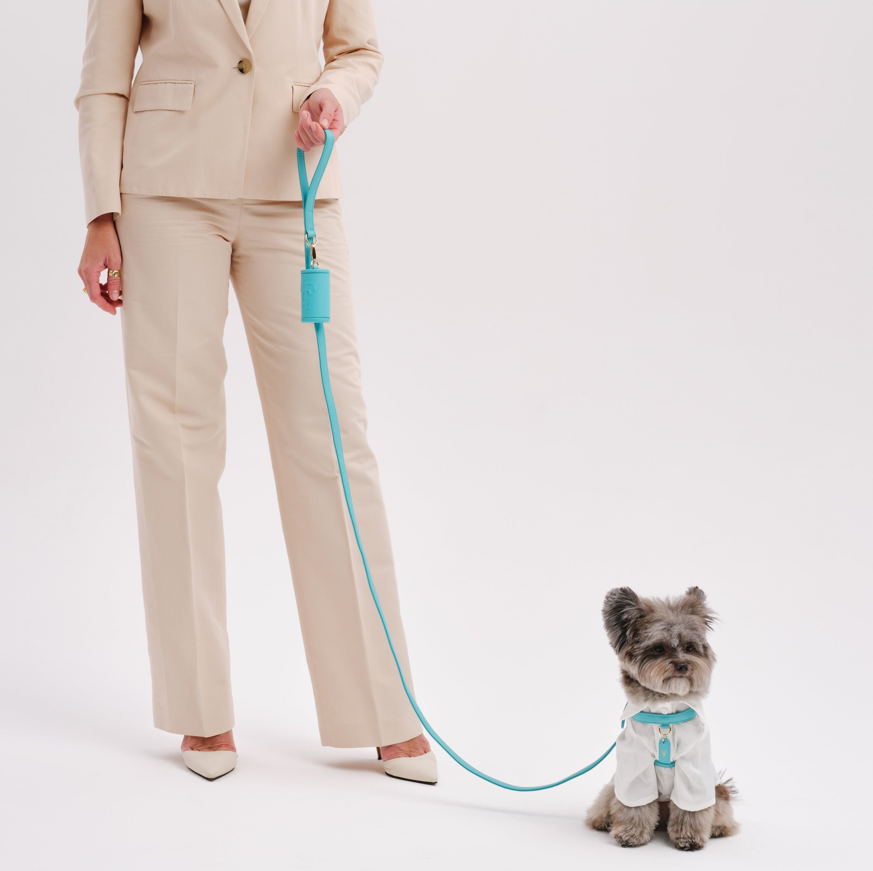 Dog Leash
