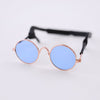 Hello Doggie Dog Sunglasses pet sunglasses