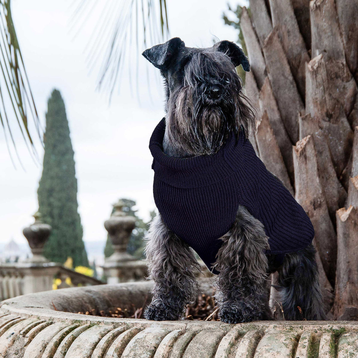 Blue Rib-Cashmere
