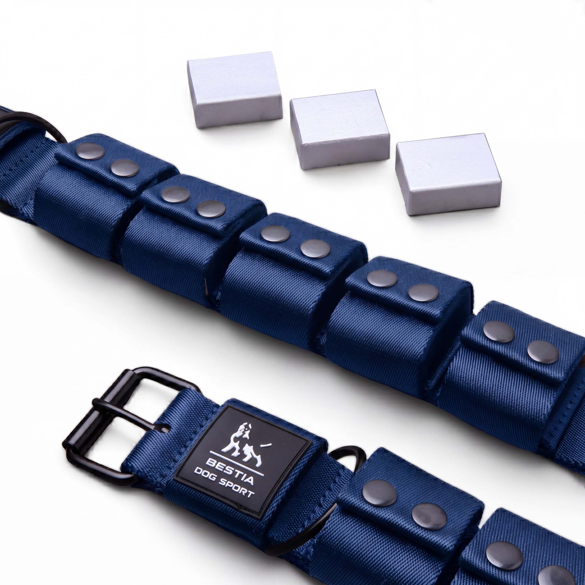 BESTIA DOG SPORT Weighted Dog Training Collar | HT Animal Supply