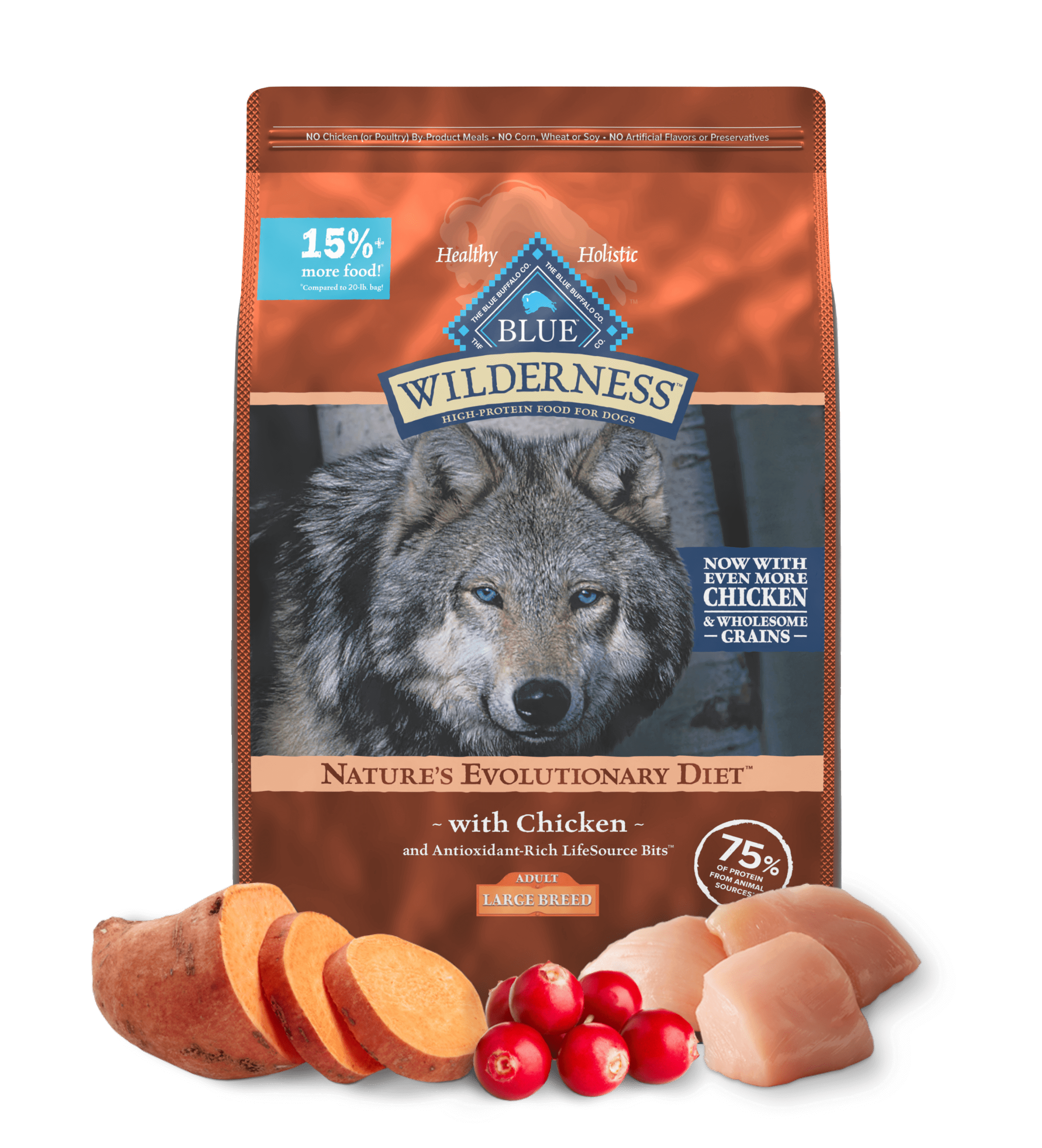 Blue Buffalo Wilderness Adult Large Breed Chicken with Wholesome Grains Dry Dog Food (24lb)
