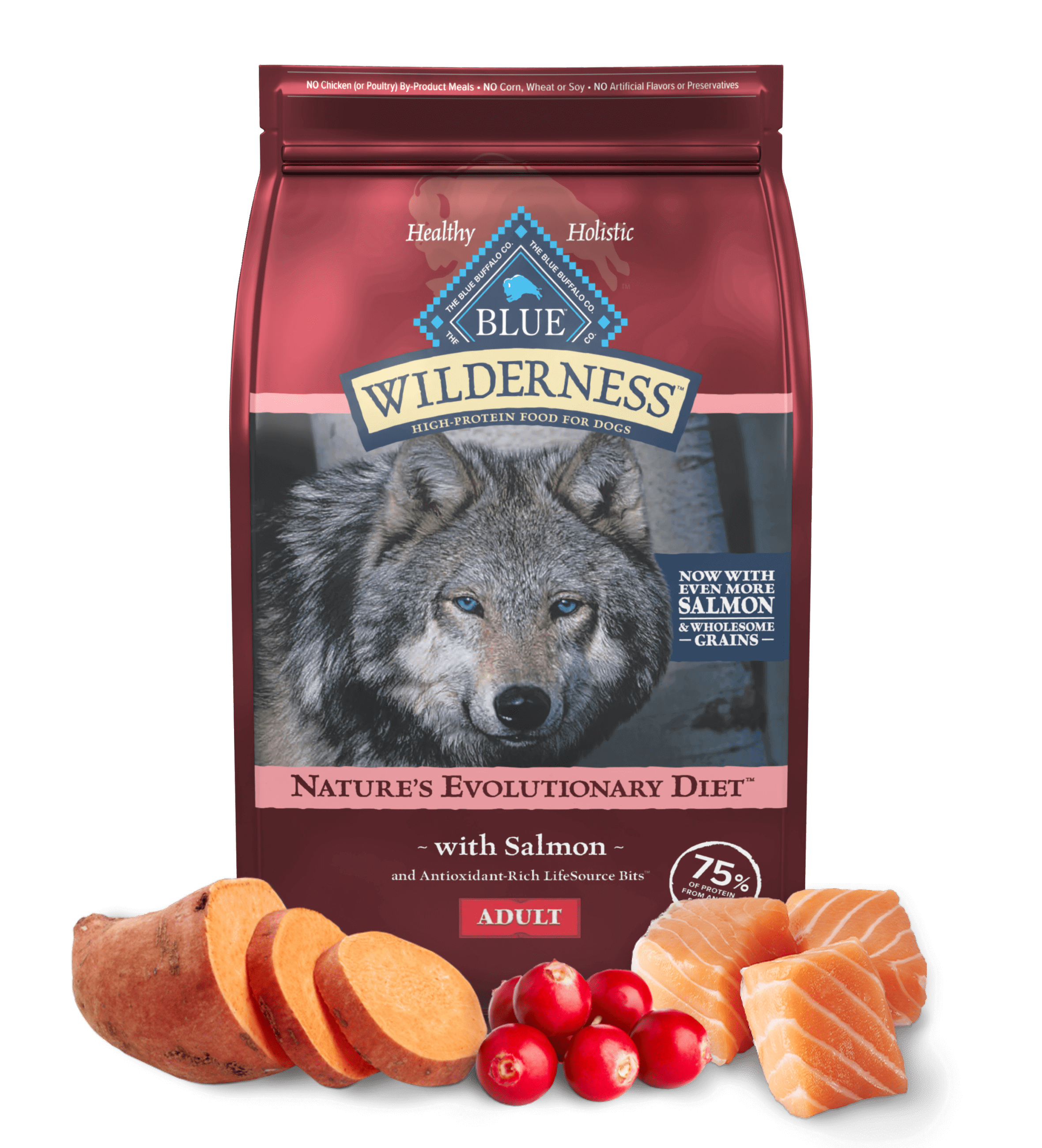 Blue Buffalo Wilderness Adult Salmon with Wholesome Grains Dry Dog Food