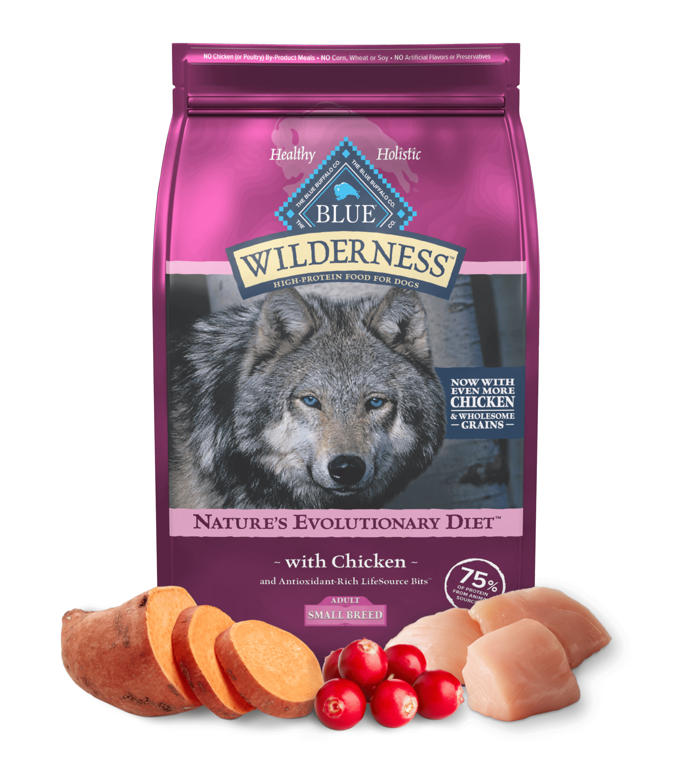 Blue Buffalo Wilderness Adult Small Breed Chicken with Wholesome Grains Dry Dog Food