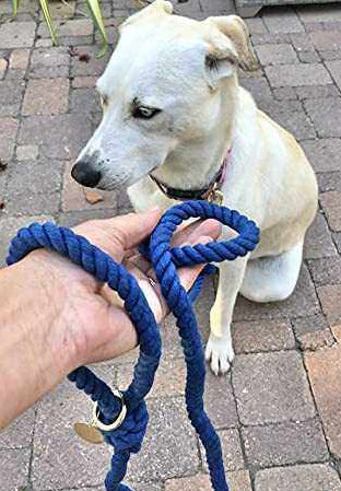 Glow Pups: Blue Boho Chic Cotton Rope Dog Leash