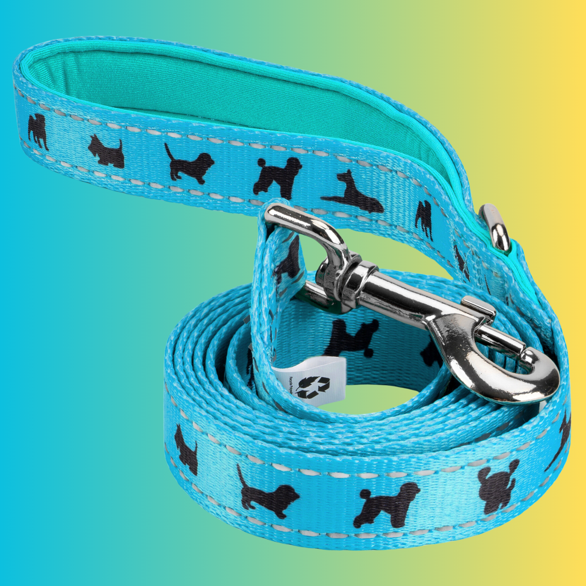 EcoBark Sky Blue Dog Leash- Padded Comfort Grip Padded Leash Dog Pattern - 4 Foot, 5 Foot, 6 Foot Leash for Small and Medium Dogs