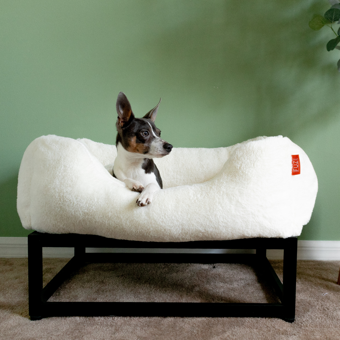 The FÜZI Dog Bed