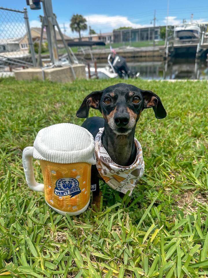 Pet Toy: PAWTY BEER PLUSH DOG TOY
