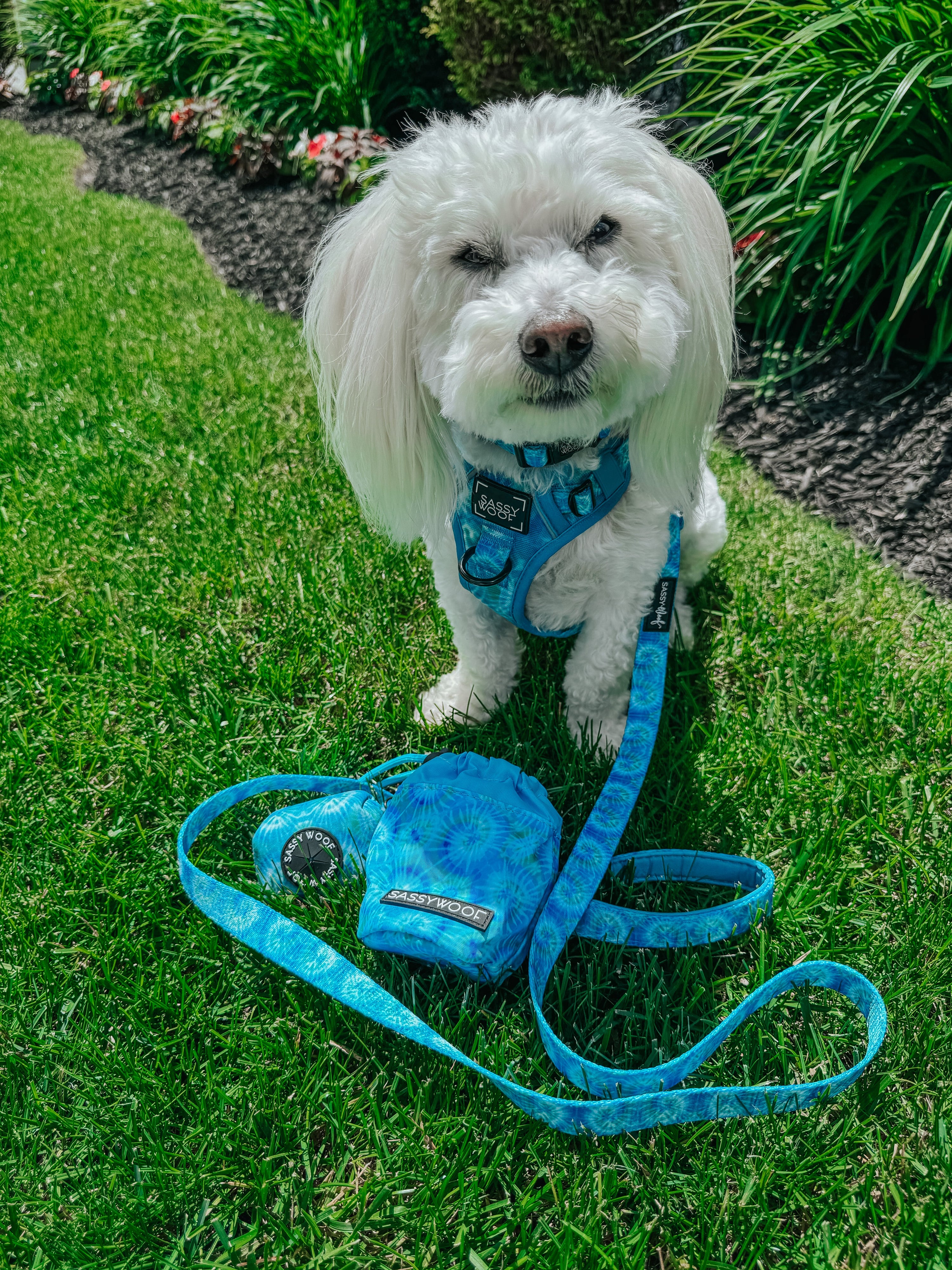 Dog Leash - Tropical Tides
