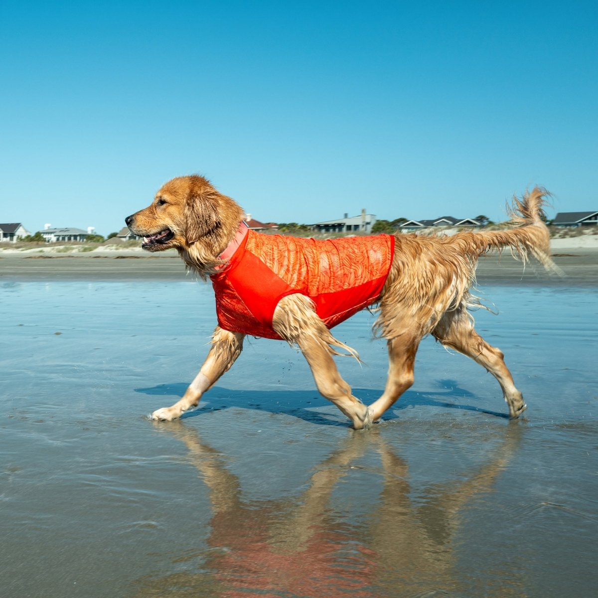 Body Glove Crystal Cool Pet Cooling Shirt | HT Animal Supply