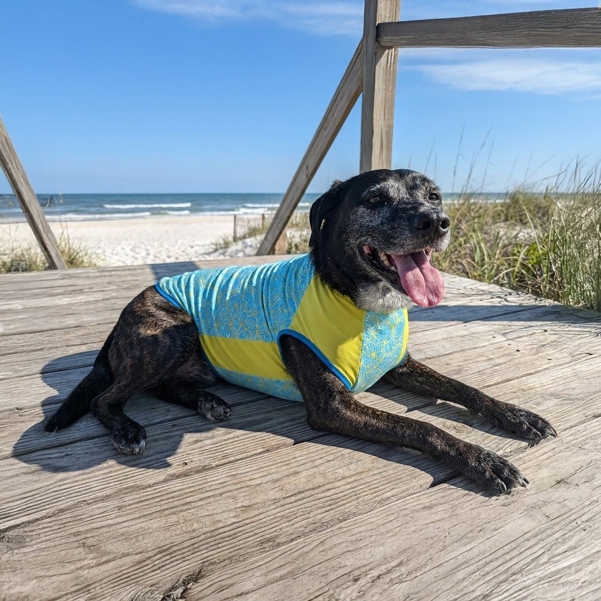 Body Glove Crystal Cool Pet Cooling Shirt premium pet product