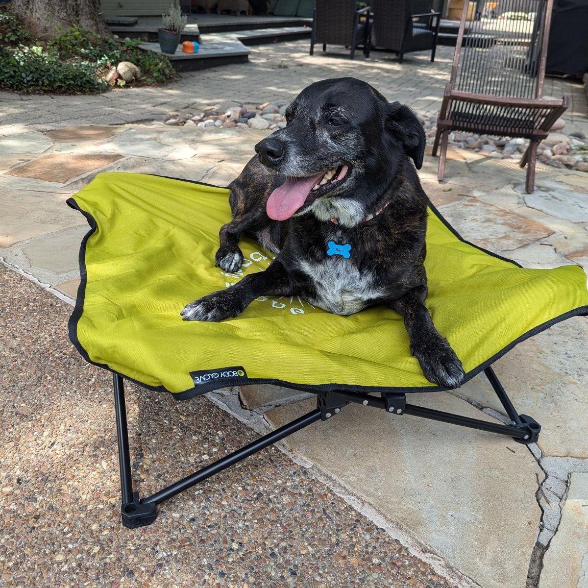 Body Glove Fold & Go Pet Cot premium pet product